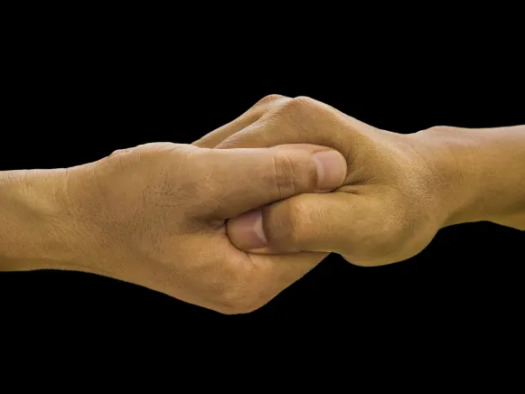 كازينو غراند فيغاس الدعم